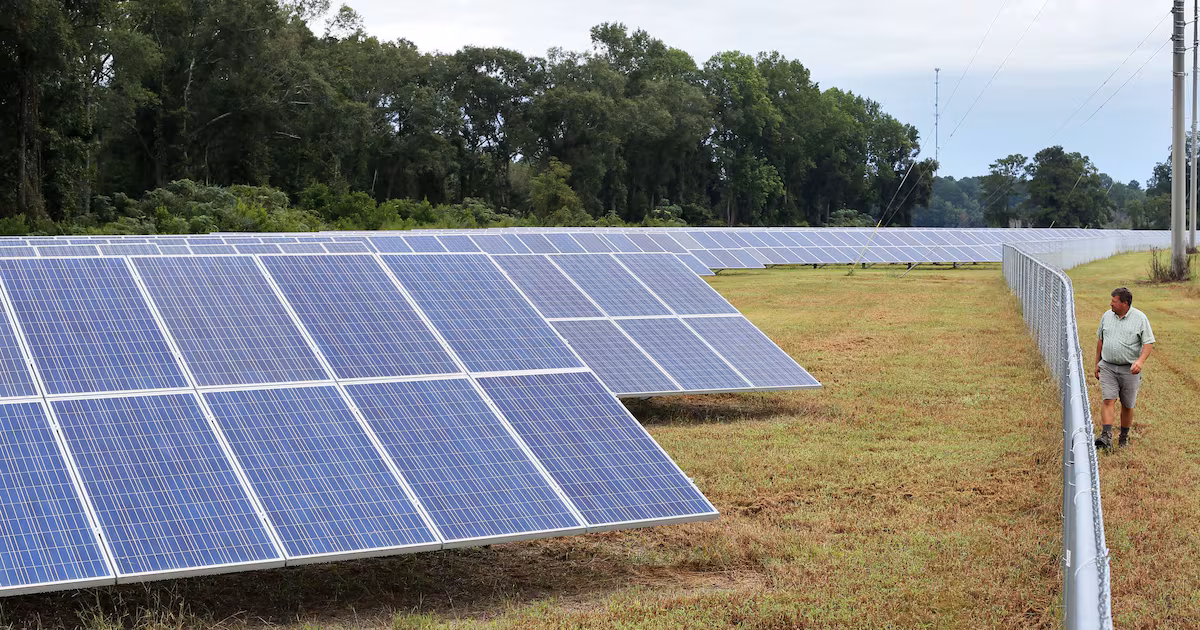 Solar in the South keeps growing, and Georgia is a leader, report shows