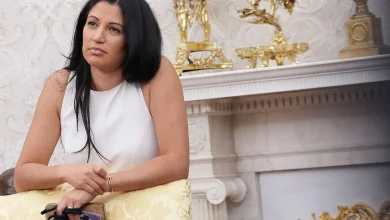 Stephen Miller’s wife threatens political commentator with deportation during debate