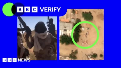 Sudan war: New videos show executions after RSF militia takes key city