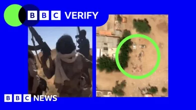 Sudan war: New videos show executions after RSF militia takes key city