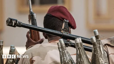 Sudan war: WHO chief hits out over reports of mass killings in el-Fasher hospital