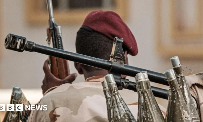 Sudan war: WHO chief hits out over reports of mass killings in el-Fasher hospital