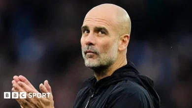 Swansea City news: Swans can 'enjoy' Manchester City tie in EFL Cup with pressure off - Iwan Roberts