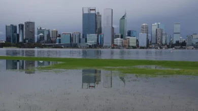 Thunderstorms to hit WA as rain, strong winds hit metro area