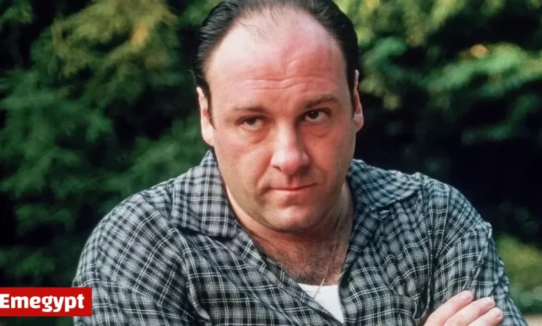 Top 10 Must-Read Novels for ‘The Sopranos’ Fans