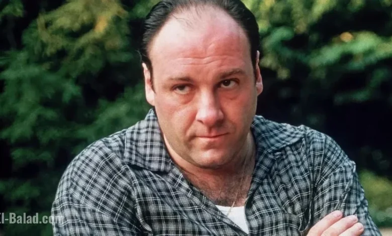 Top 10 Novels for Fans of ‘The Sopranos’