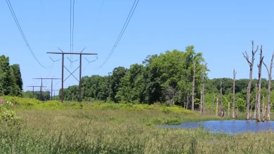 Transmission developer seeks to restrict hunting, residents say it's 'outrageous'