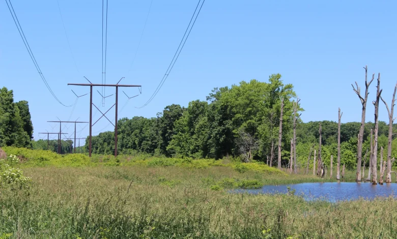 Transmission developer seeks to restrict hunting, residents say it's 'outrageous'