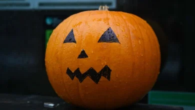 UK households urged not to throw pumpkins in black bins after Halloween