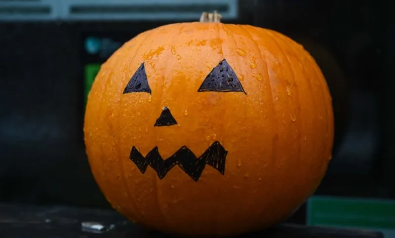 UK households urged not to throw pumpkins in black bins after Halloween