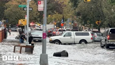 Watch: Deadly rainfall sets record in New York City