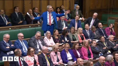 Watch: Lib Dems MPs heckle Nigel Farage as he presents ECHR bill