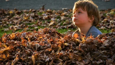 Way worse weather ahead for Thursday, Friday and Halloween