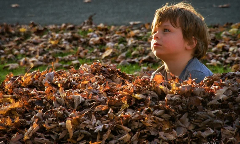 Way worse weather ahead for Thursday, Friday and Halloween