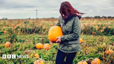 Weather: Halloween events cancelled or rescheduled due to wind warning