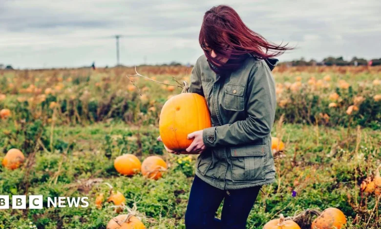 Weather: Halloween events cancelled or rescheduled due to wind warning