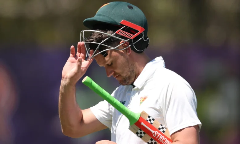 Webster out cheaply in Shield return as Vics take lead