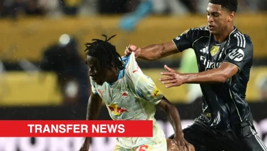 West Ham in the mix for bargain £4.3m midfield signing labelled a ‘genuine all-rounder’