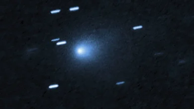 Why an interstellar comet has scientists excited