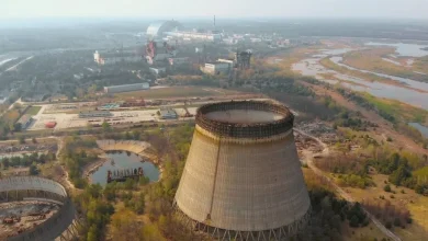 Why the 'Atomic Blue Dogs' of Chernobyl Are Good for Science