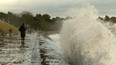 Wind warnings issued for Greater Victoria, mid-Island as fall storm approaches