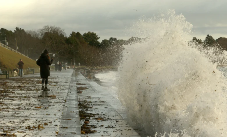 Wind warnings issued for Greater Victoria, mid-Island as fall storm approaches