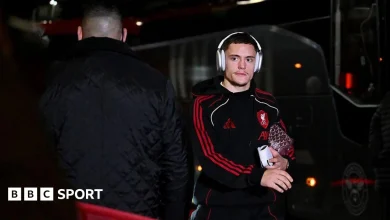 'Wirtz will be unbelievable' - Berbatov