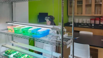 Witnessing cancer up close inspired my quest to understand it