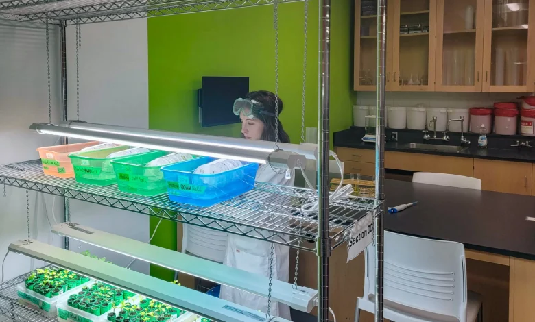 Witnessing cancer up close inspired my quest to understand it