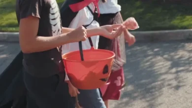 Your Halloween forecast and a look into weekend rain chances