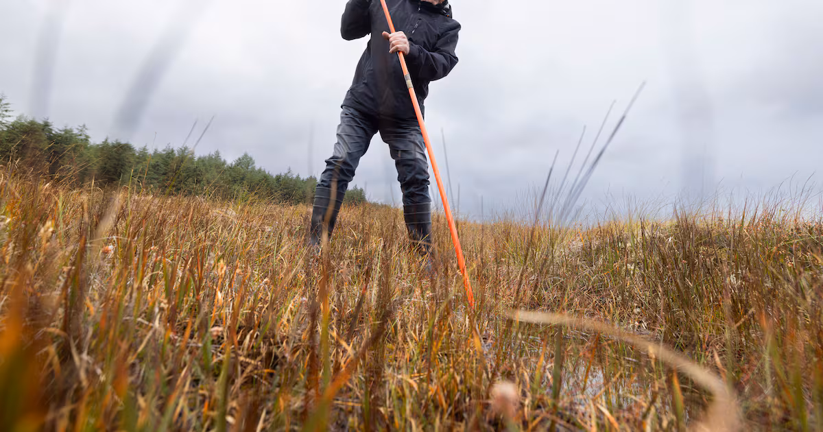 ‘A portal to the underworld’: Tramping a bleak bog as part of a spooky Halloween tour