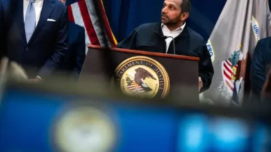 ‘Potential terrorist attack’ over Halloween weekend thwarted: FBI director