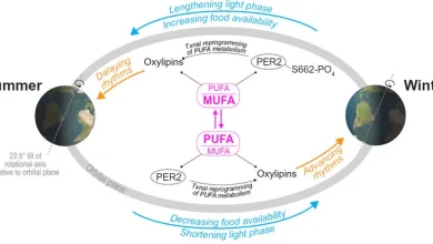 가을 환절기에 몸이 원하는 것들 [강석기의 과학풍경]