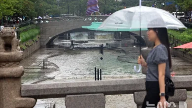 밤부터 중부·전라 비…내륙 짙은 안개 주의[내일날씨]