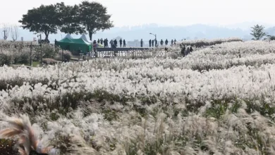 [주말날씨] 토요일 낮 기온 올라 따뜻…일요일부터 다시 하락