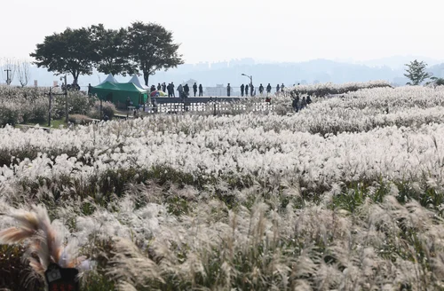 [주말날씨] 토요일 낮 기온 올라 따뜻…일요일부터 다시 하락