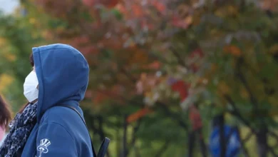 11월 한파에 서울 -2.8도까지 뚝…내일까지 추위 이어진다