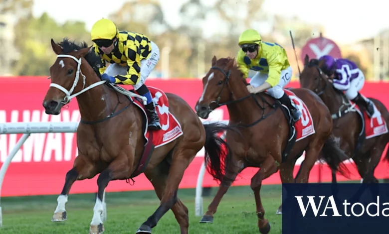 Bookmaker fears Autumn Glow’s ‘Winx feel’ could bring $1m loss