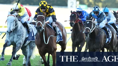 Race-by-race preview and tips for Randwick on Saturday