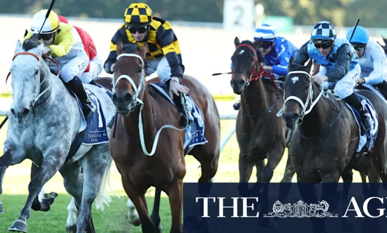 Race-by-race preview and tips for Randwick on Saturday