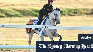 Fairytales and heavyweights: How to tip the Melbourne Cup trifecta