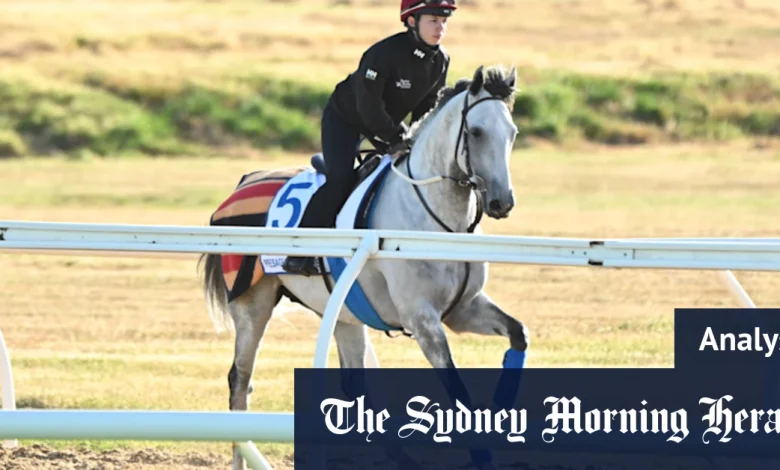 Fairytales and heavyweights: How to tip the Melbourne Cup trifecta