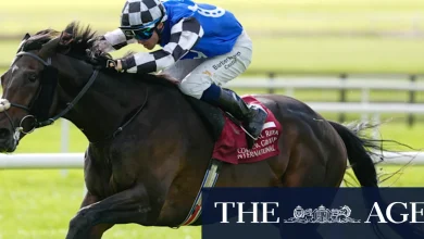 Cup betting intrigue: One Kiwi punter stands to win $730,000 from $7