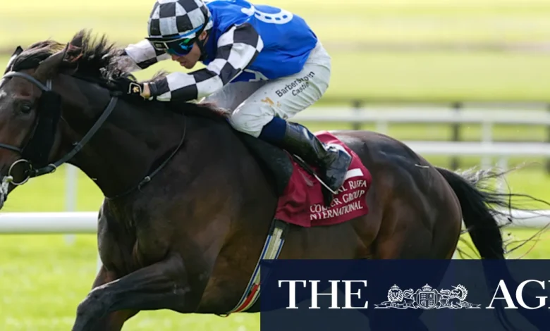 Cup betting intrigue: One Kiwi punter stands to win $730,000 from $7