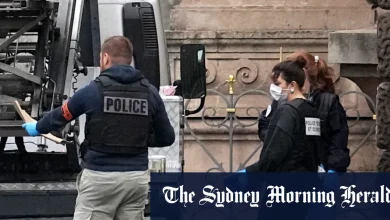 Louvre heist the work of petty criminals, not professional organised crime: prosecutor