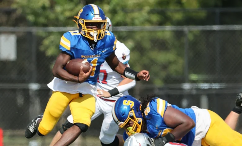 2025 IHSA state football quarterfinal scores