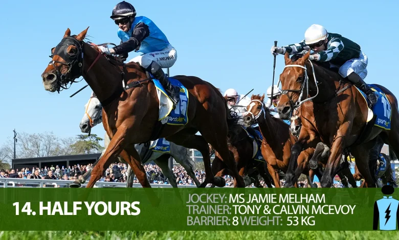 2025 Melbourne Cup Field - complete guide