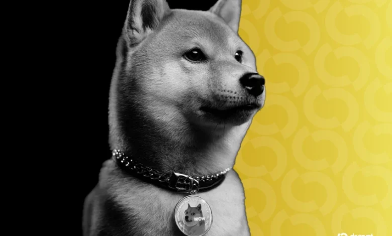 21Shares Doubles Dogecoin Bets With 2x Leveraged DOGE ETF