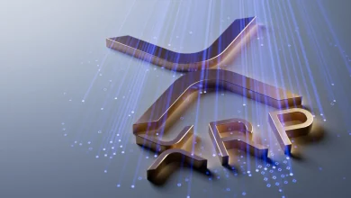 29% of XRP Leaves Exchanges as 21Shares ETF Set to Trade Monday