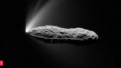 3I/ATLAS new photo allegedly leaked from NASA makes shocking revelation and has Japanese taken a breathtaking view of interstellar object? Here's all mysterious speculations